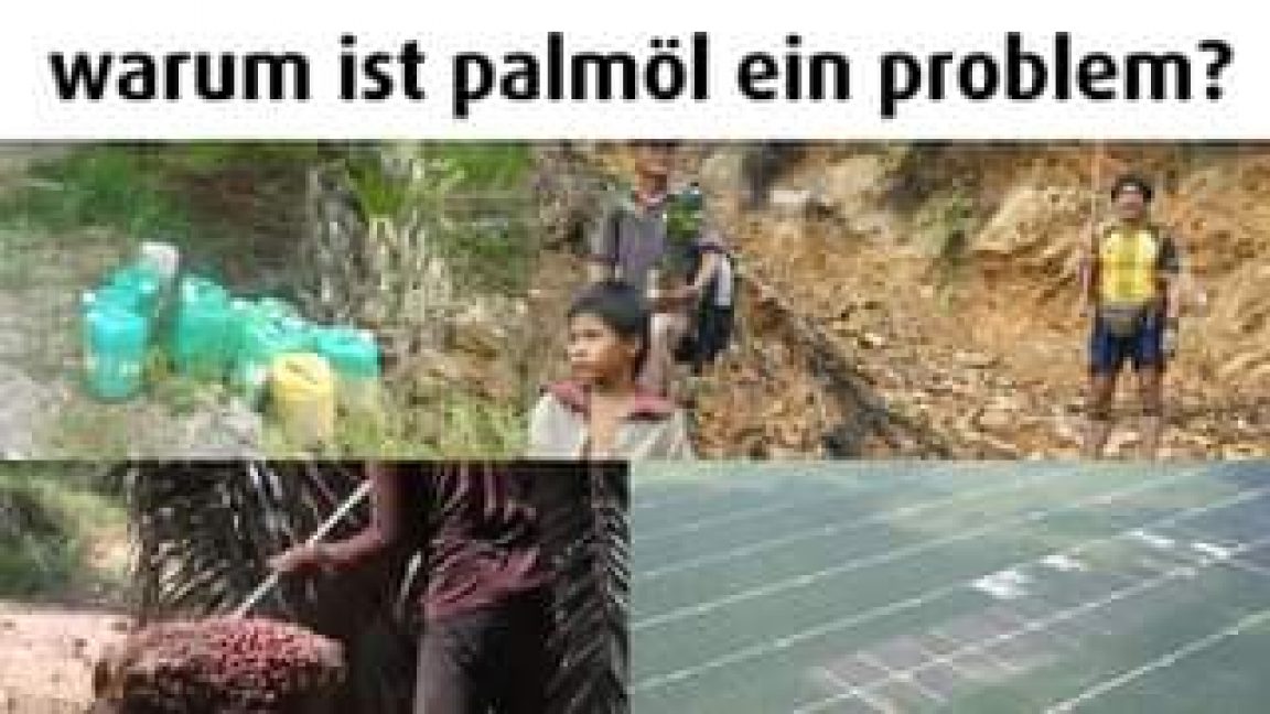 Ist möglicherweise ein Bild von 3 Personen, Personen, die stehen, außen und Text „warum ist palmöl ein problem?“